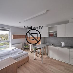 Uitgebreide Kamer met een King Size Bed